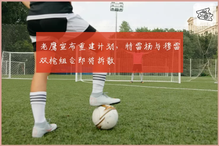 老鹰宣布重建计划，特雷杨与穆雷双枪组合即将拆散
