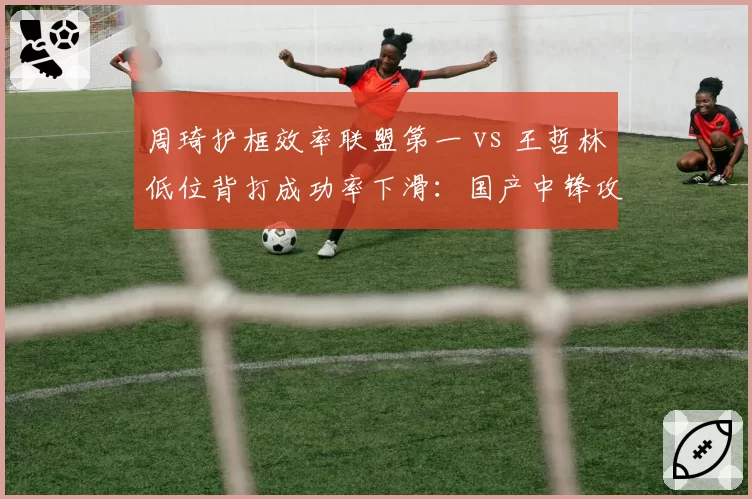 周琦护框效率联盟第一 vs 王哲林低位背打成功率下滑：国产中锋攻防数据对比
